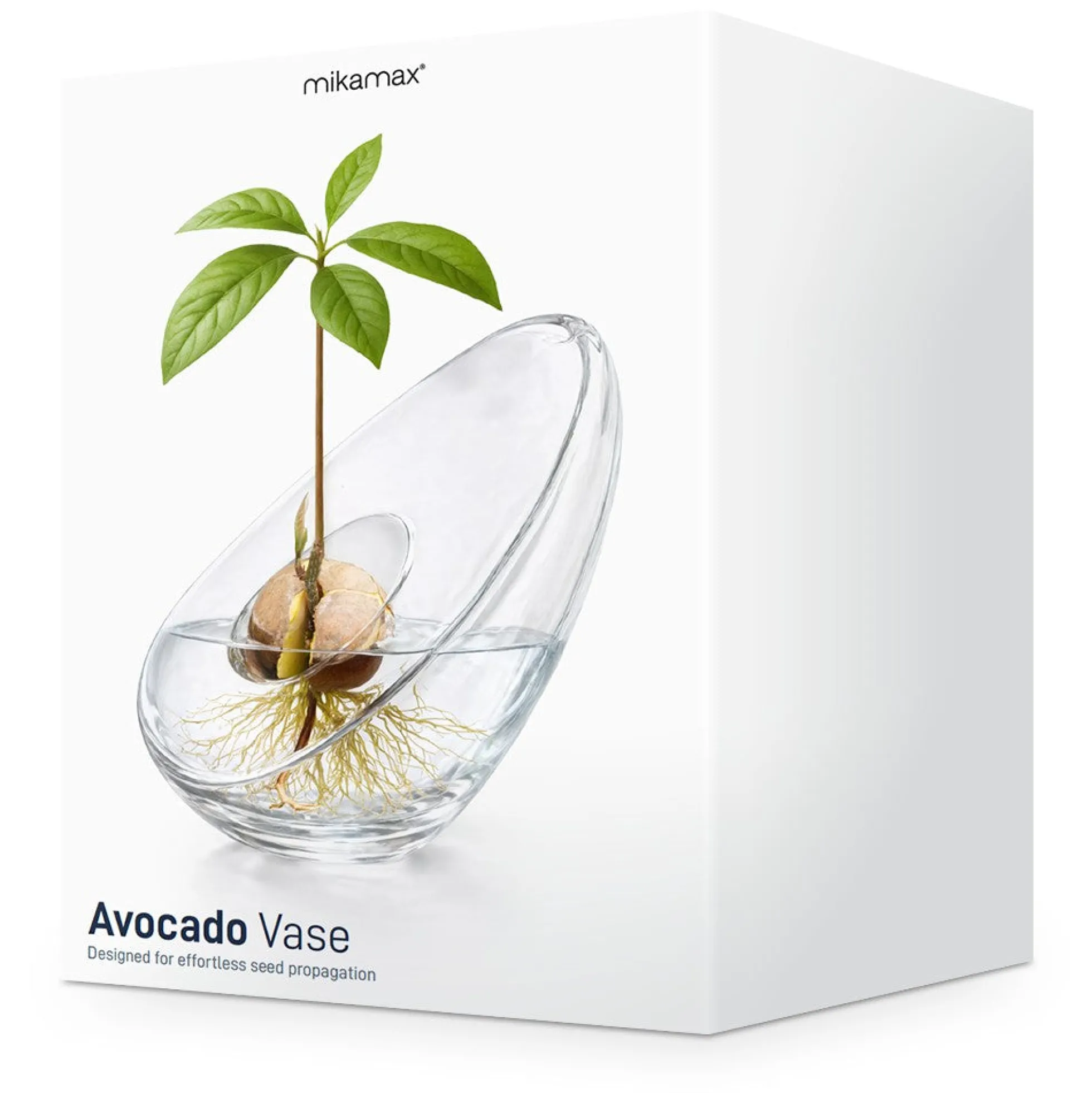 Avocado Vase - Glasvase zum Keimen von Avocadokernen