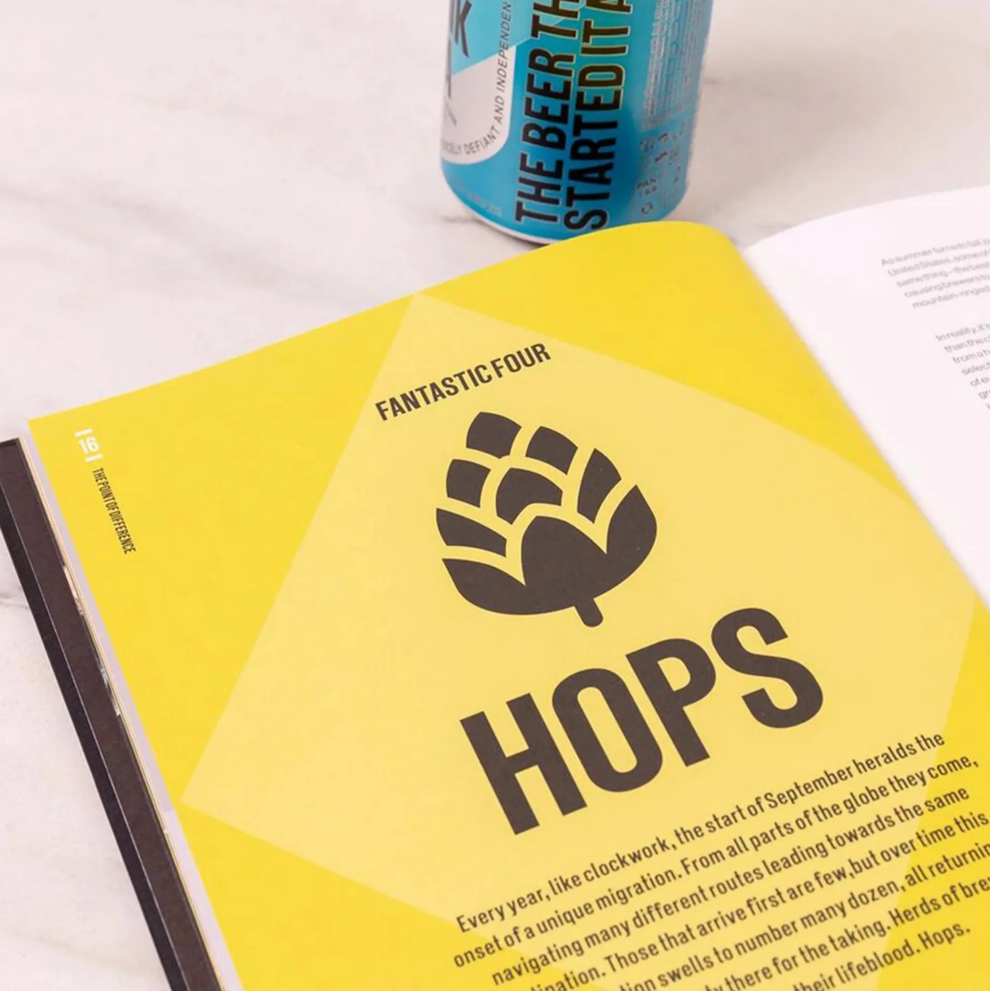 Buch BrewDog: Craft Beer for the Geeks