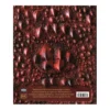 Dungeons & Dragons - Das Buch der Drachen (Hardcover)