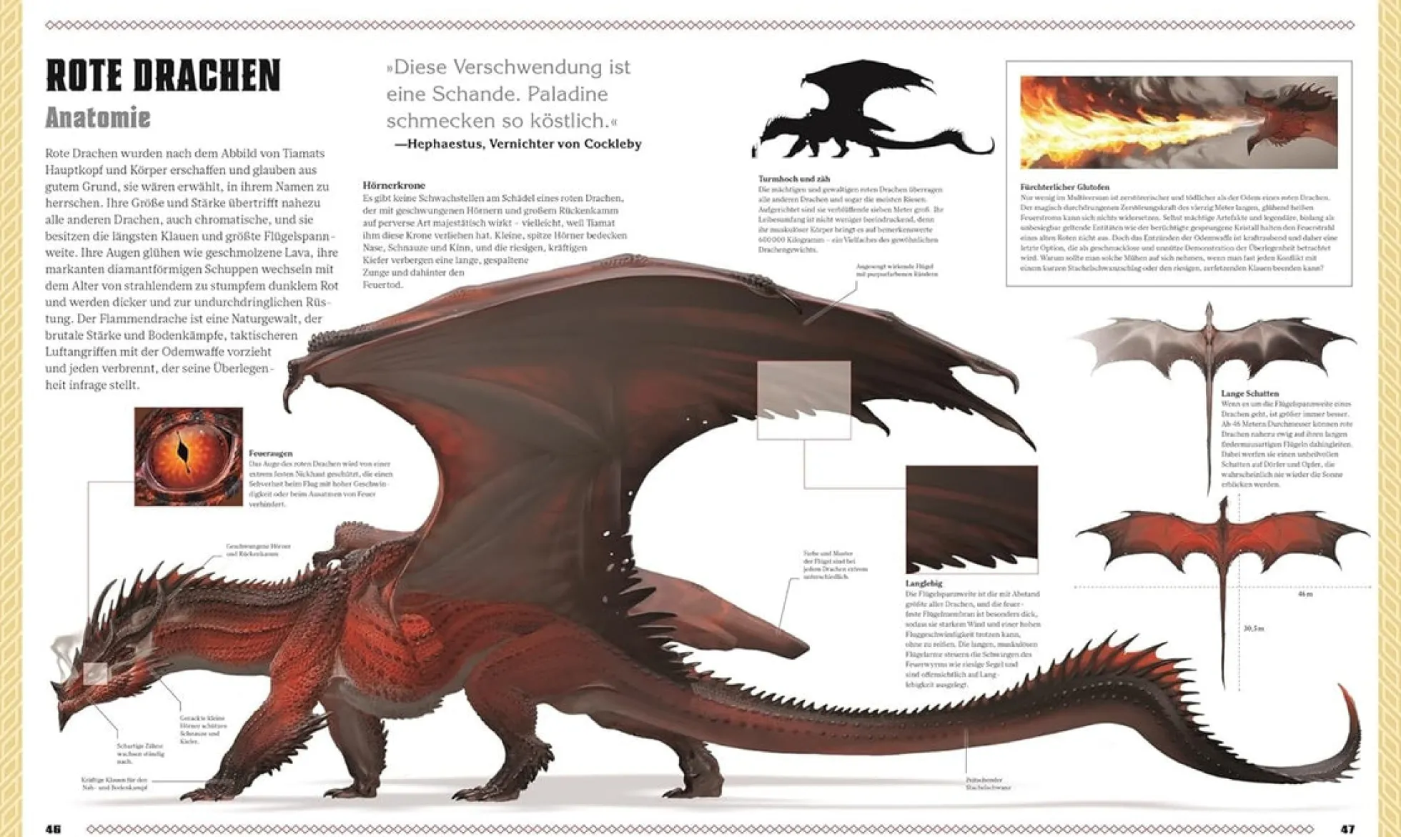 Dungeons & Dragons - Das Buch der Drachen (Hardcover)