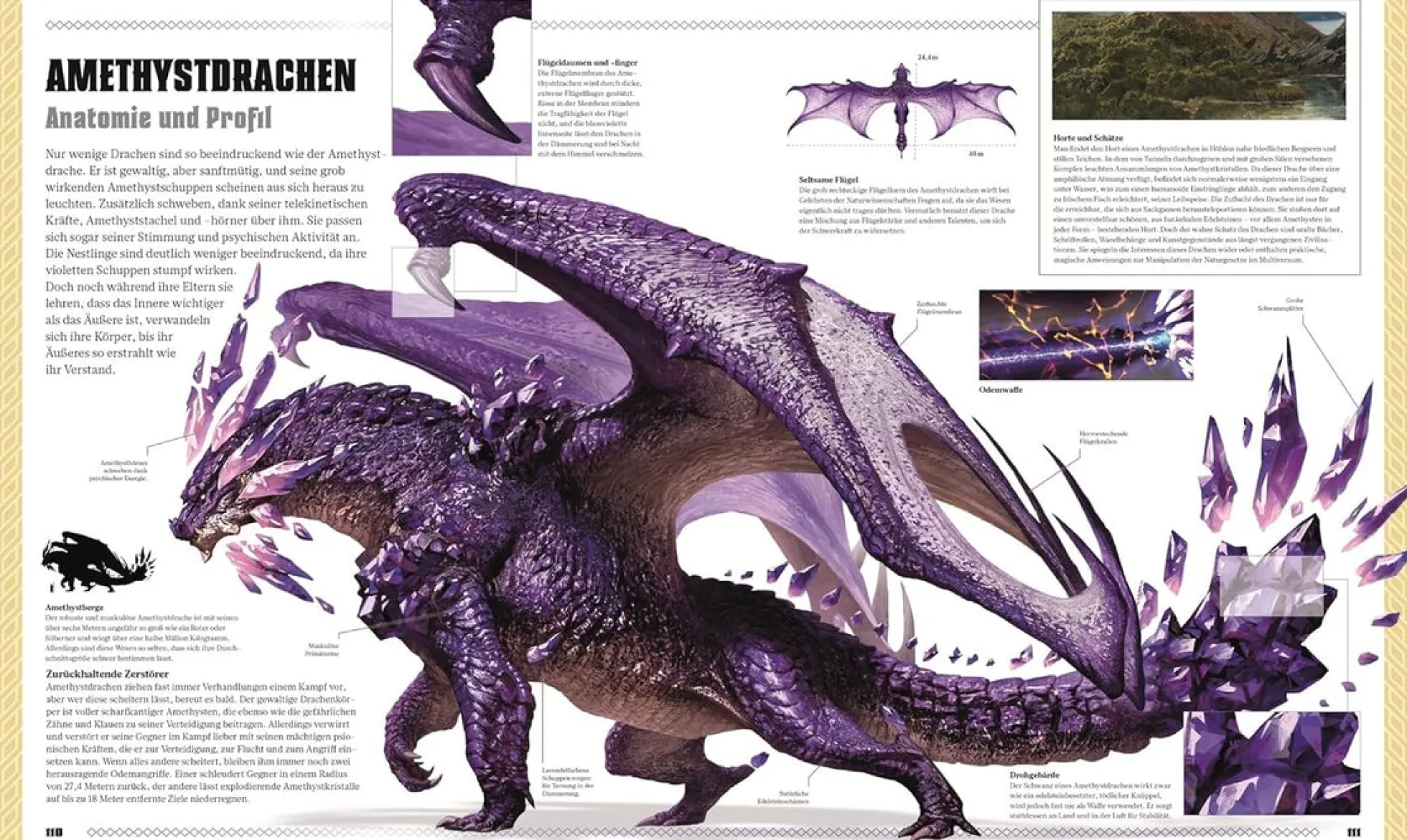 Dungeons & Dragons - Das Buch der Drachen (Hardcover)