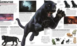 Dungeons & Dragons Die Legende von Drizzt, die illustrierte Enzyklopädie