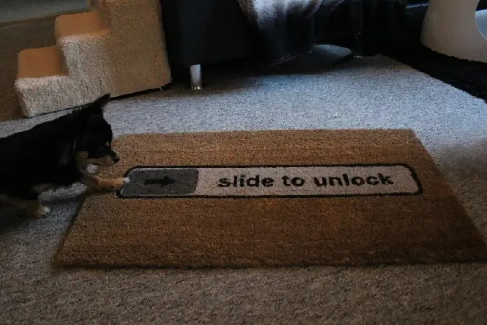 Fußmatte Slide to unlock aus Kokosfaser