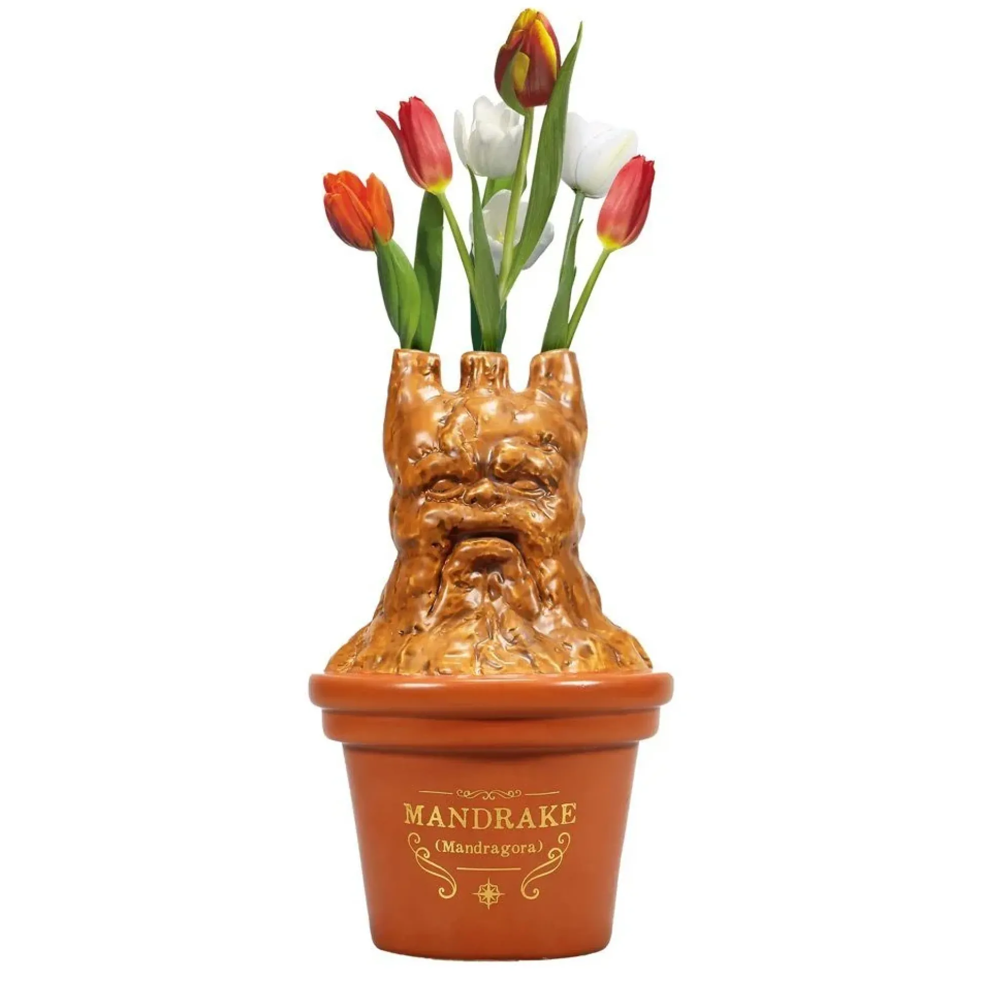 Harry Potter Alraunen-Blumenvase