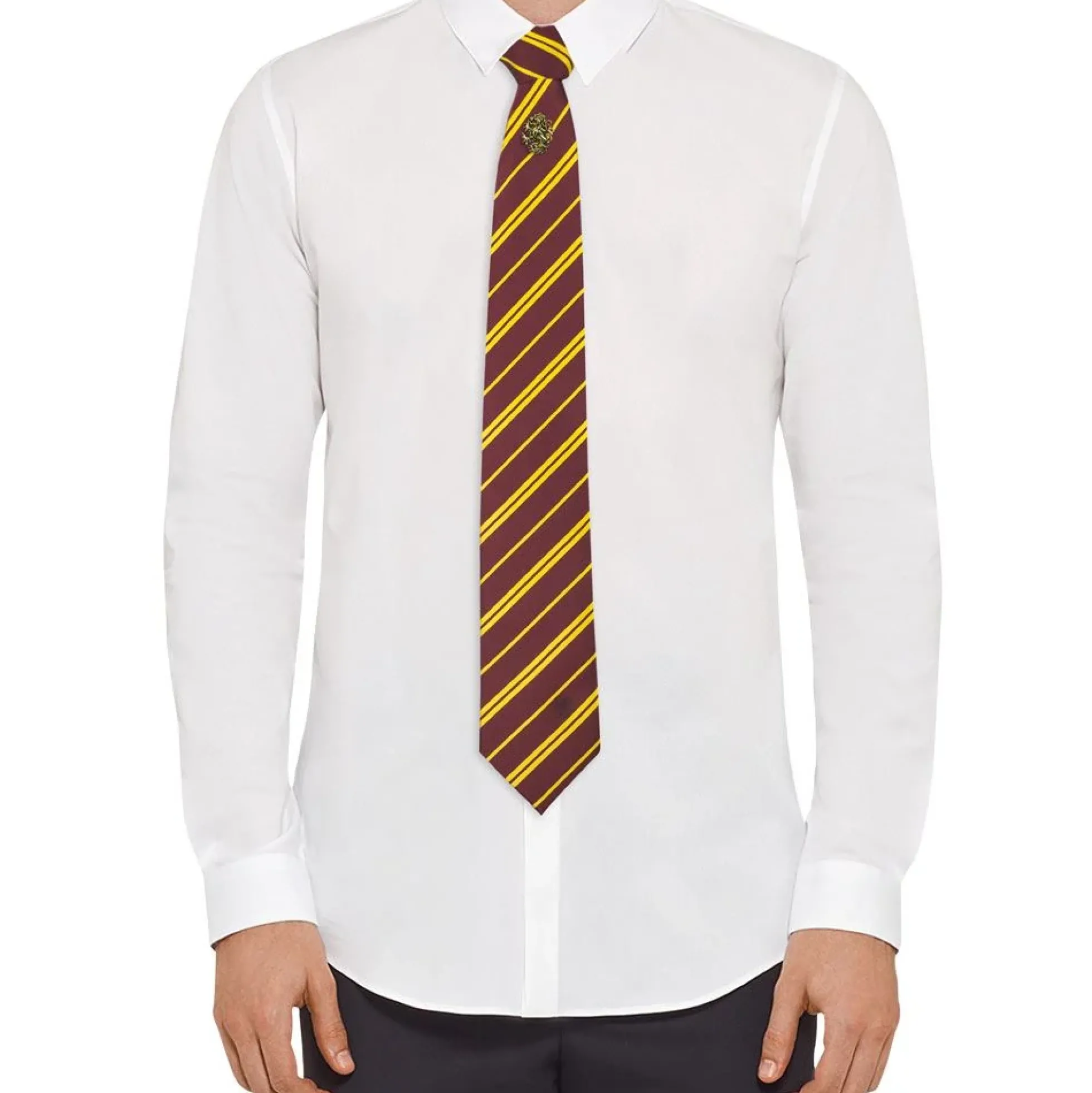 Harry Potter Deluxe-Set aus Krawatte und Ansteck-Pin