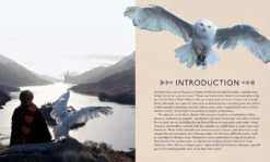 Harry Potter Hedwig 3D-Holzbausatz