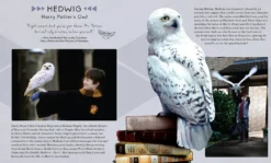 Harry Potter Hedwig 3D-Holzbausatz