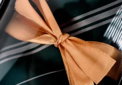 Harry Potter Slytherin Krawatte mit Hauswappen-Pin