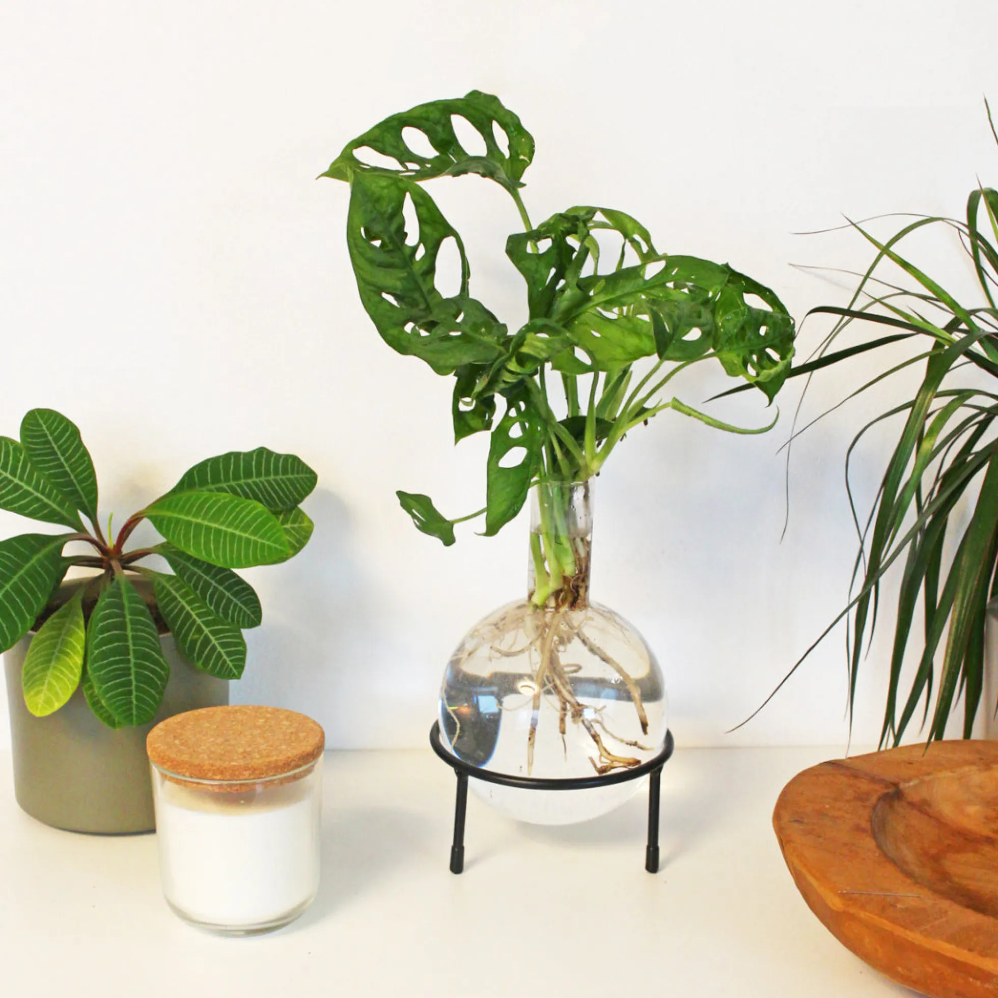 Hydrovase in Kolbenform mit Ständer