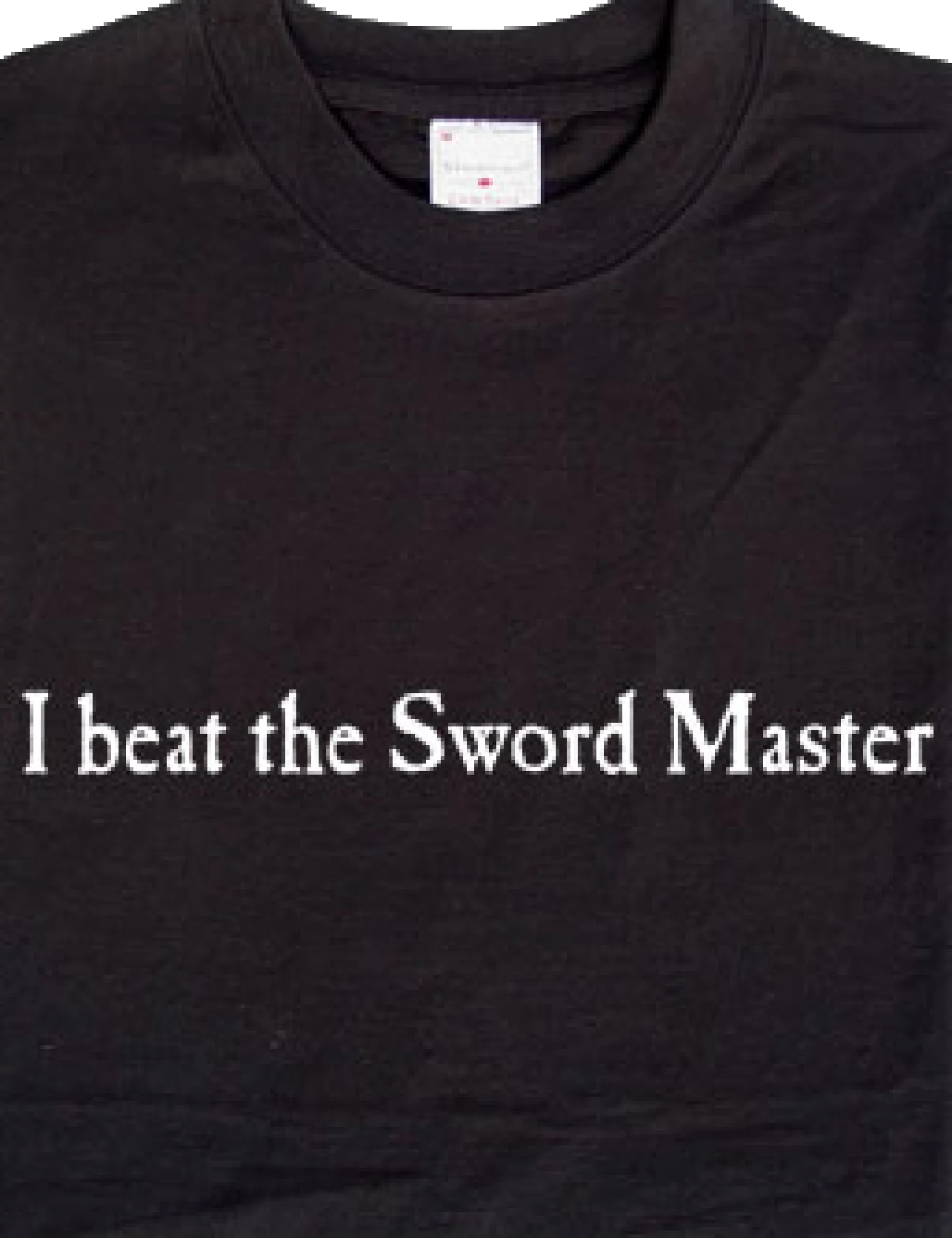 I beat the Sword Master