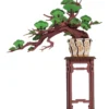Immergrüner Kiefernbonsai Holzbausatz