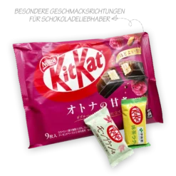 Japanische KitKat Snackbox mit 25 Riegeln