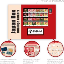 Japanische KitKat Snackbox mit 25 Riegeln