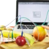 MaKey MaKey
