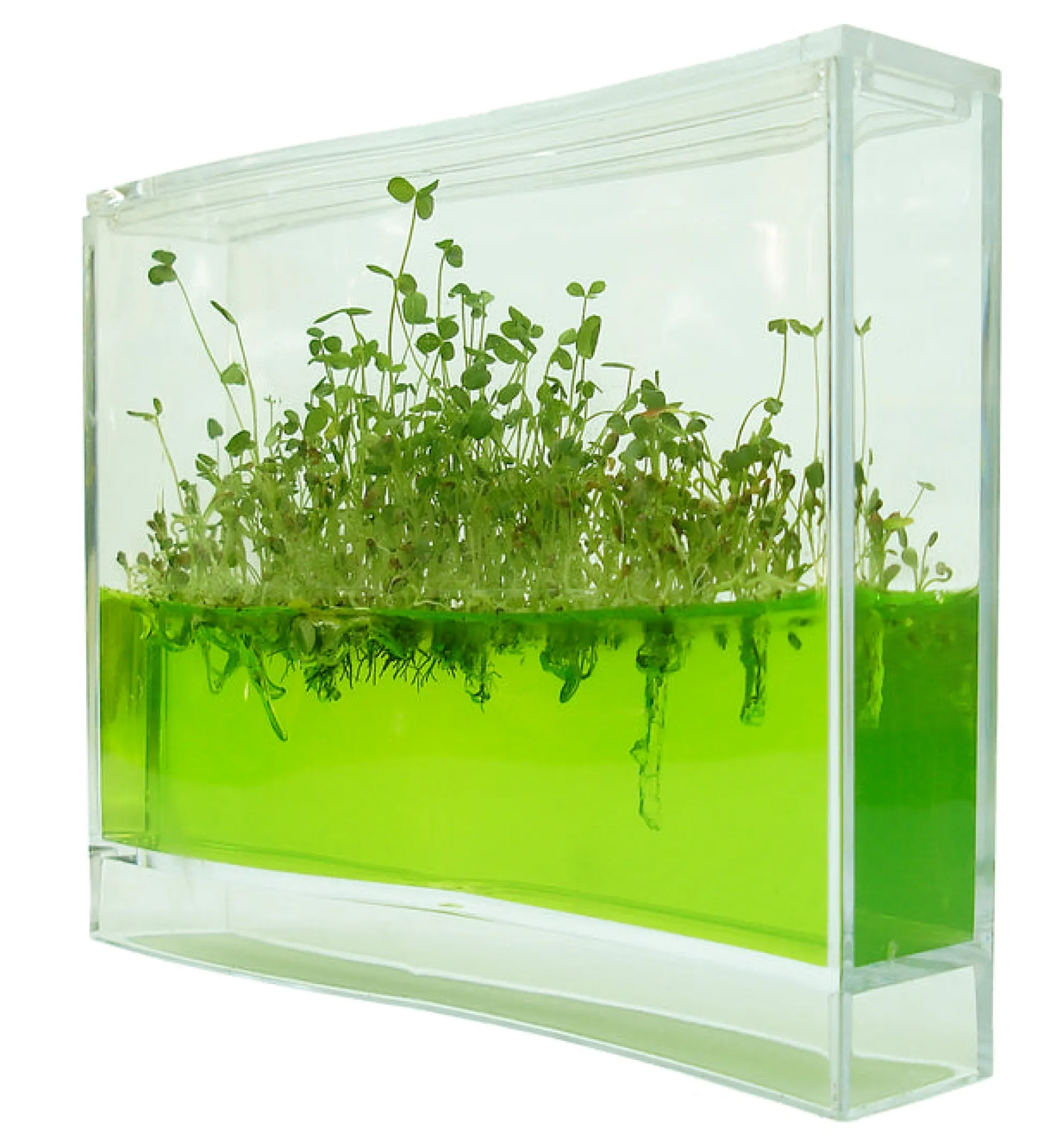 Plantarium Super