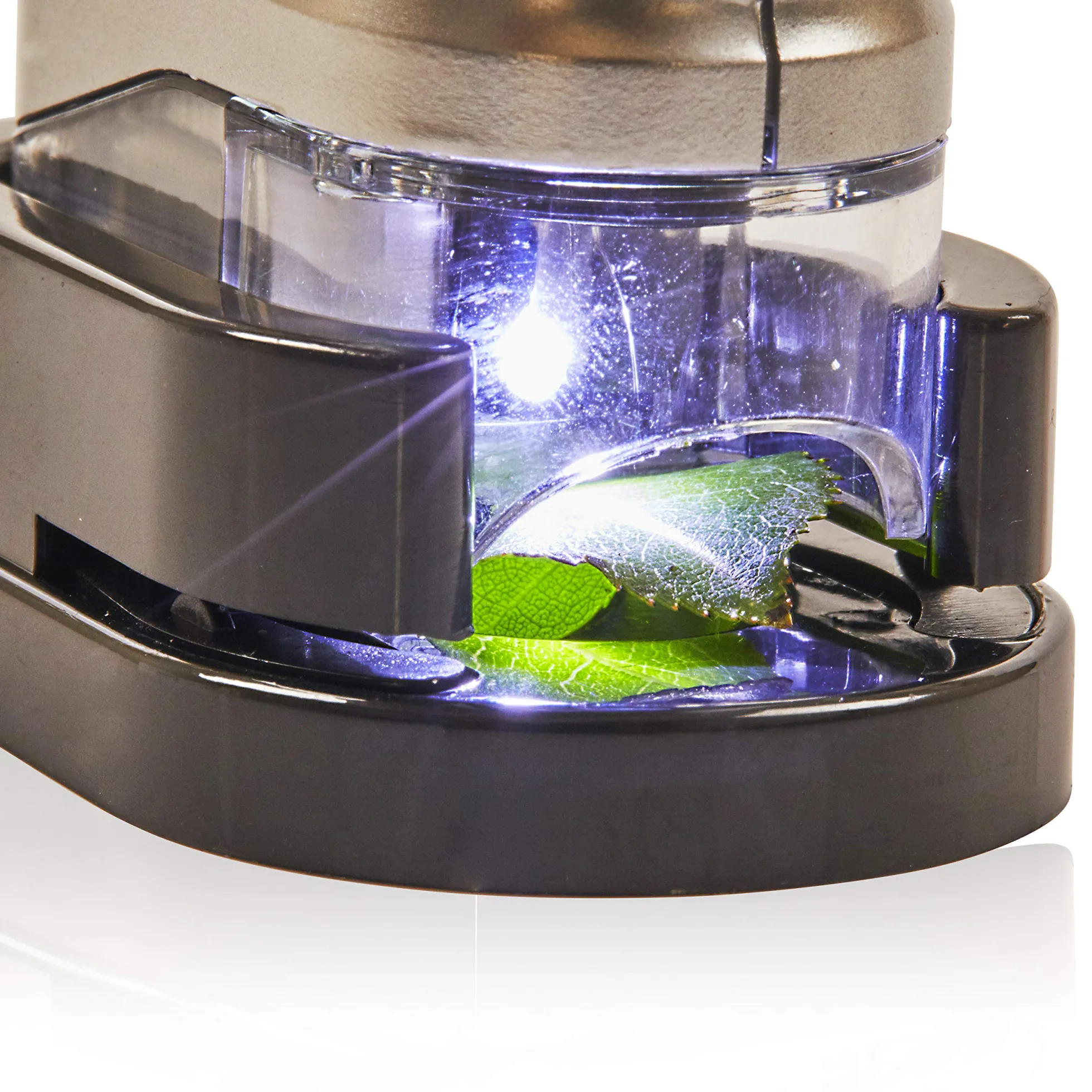 Popular Science Mini Magnum Taschenmikroskop