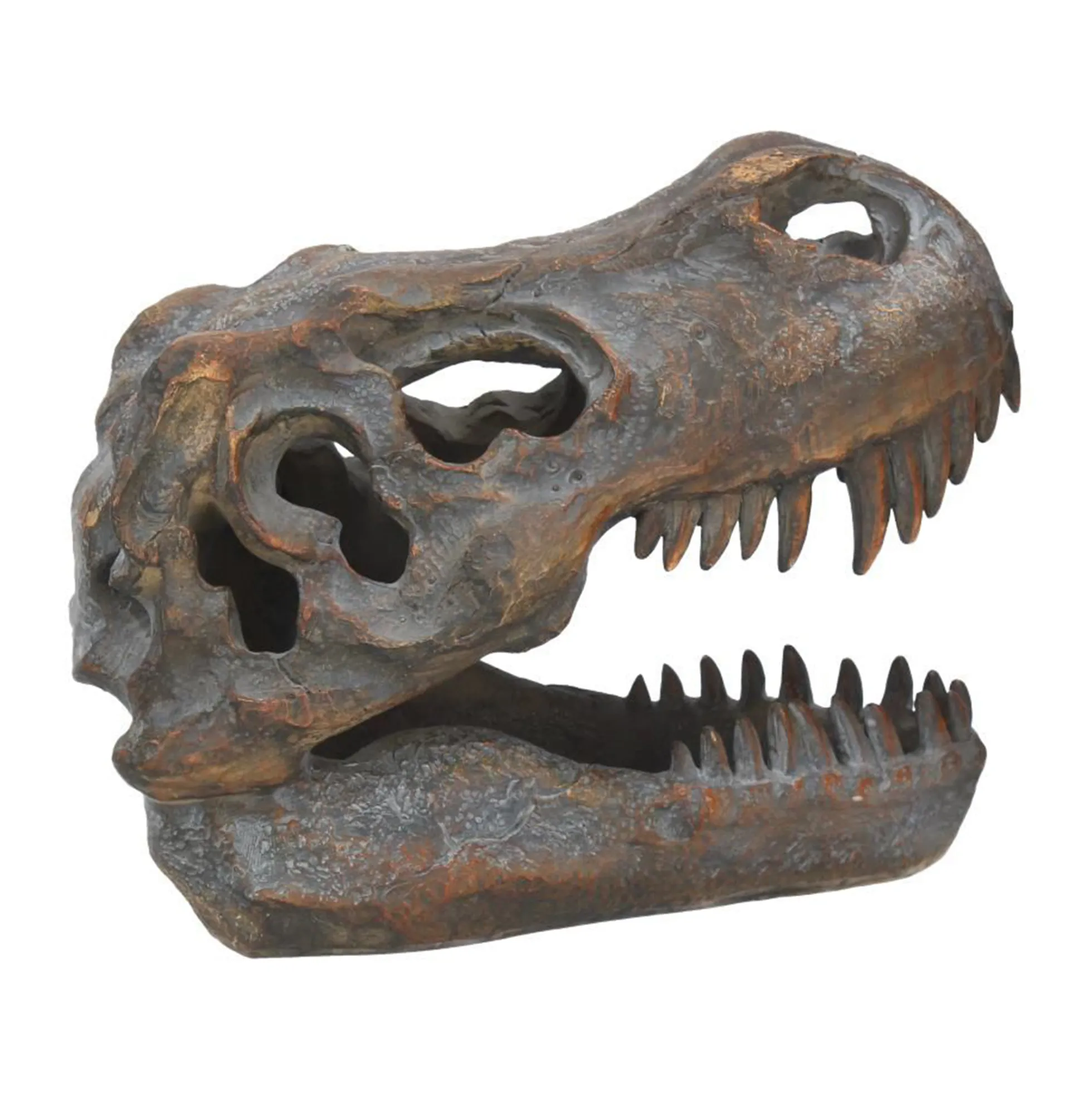Tyrannosaurus Rex-Schädel