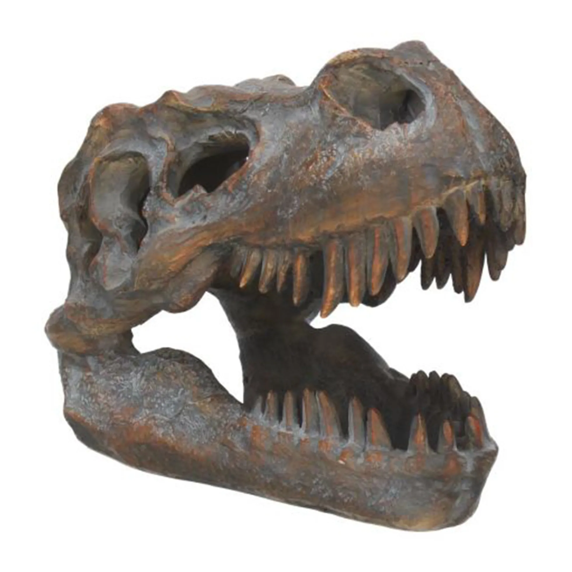 Tyrannosaurus Rex-Schädel