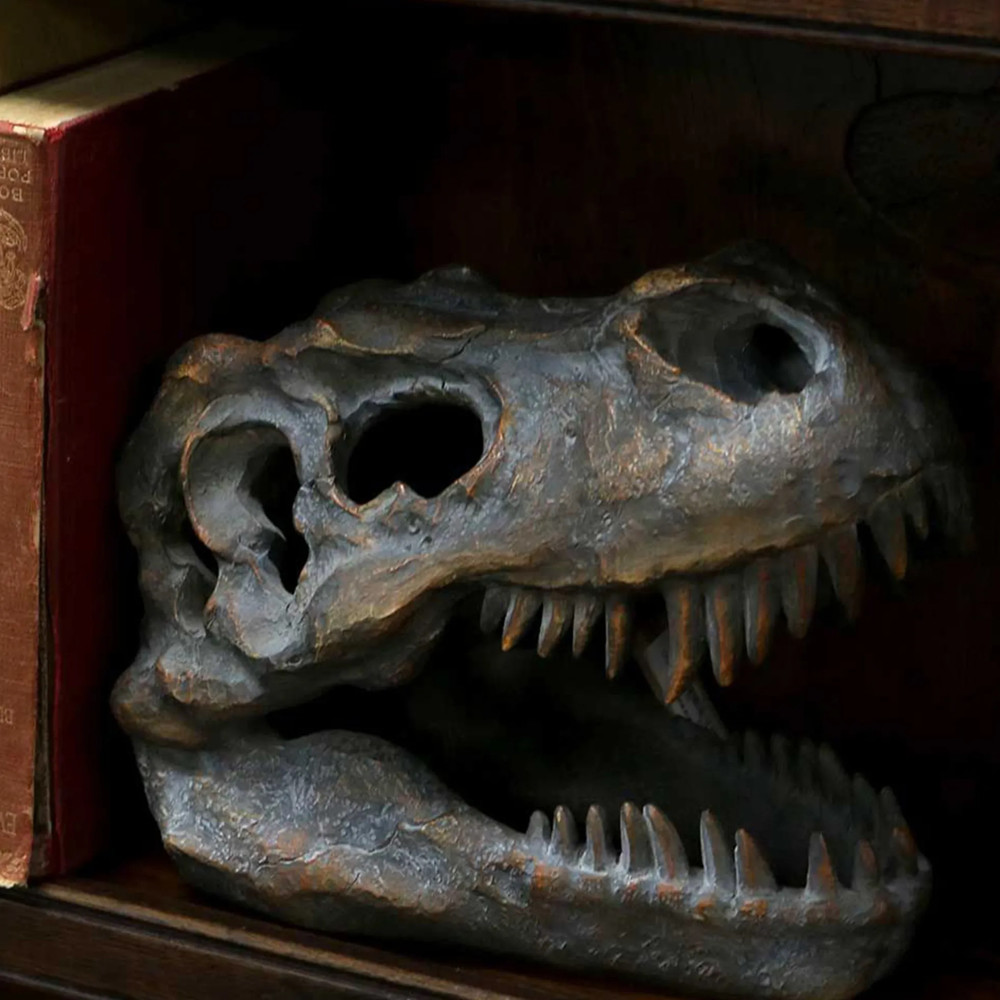 Tyrannosaurus Rex-Schädel