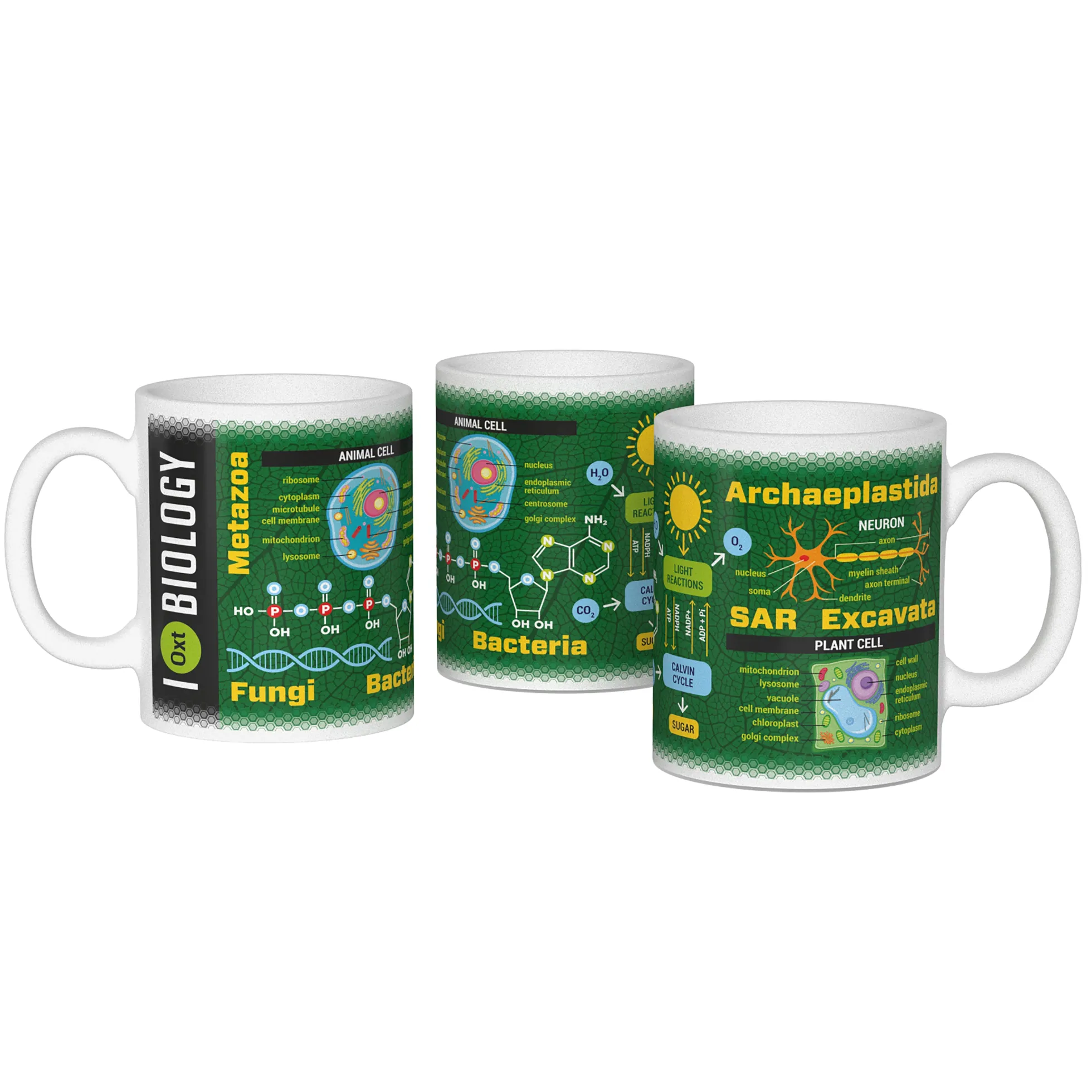Wissenschaftsbecher Biologie
